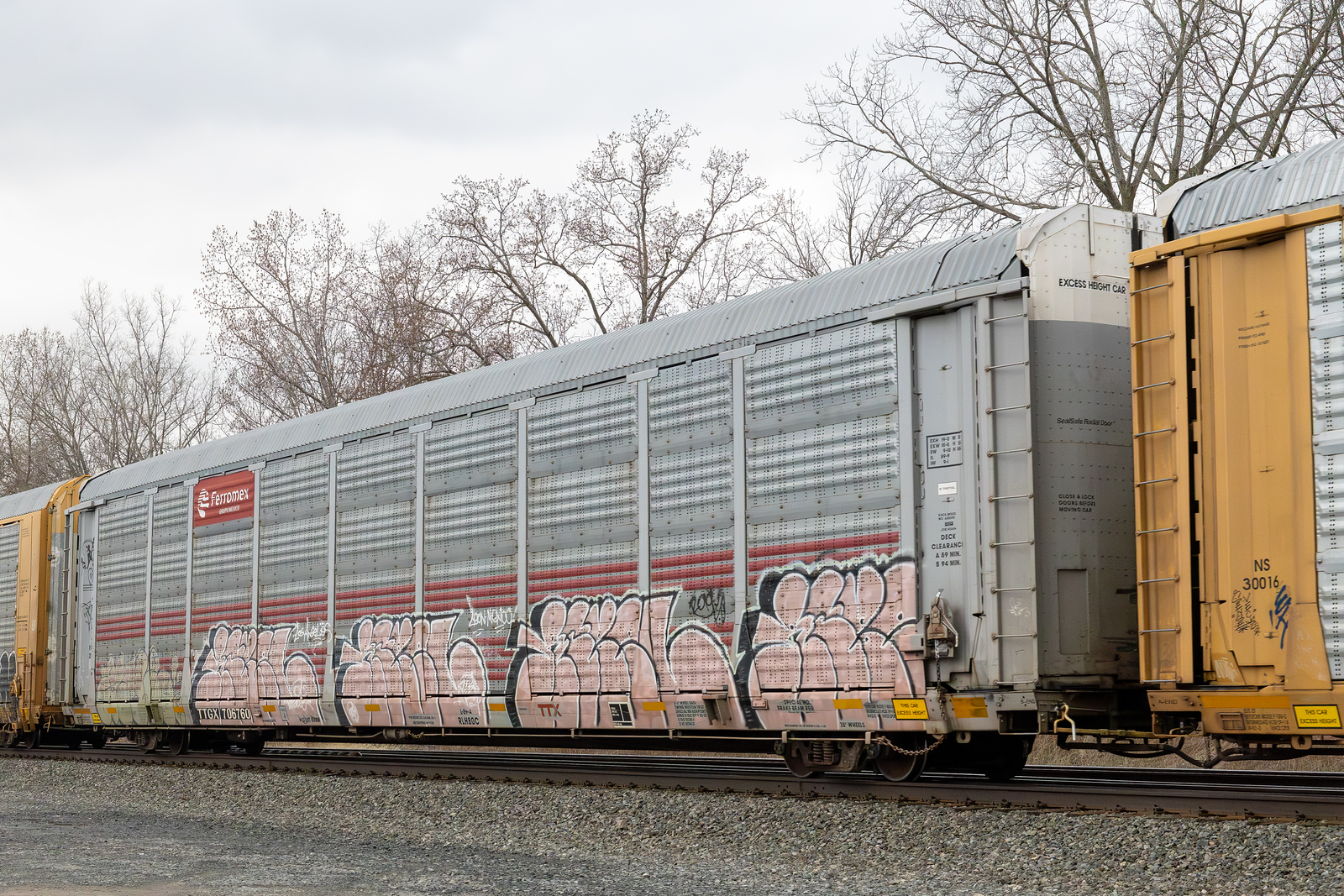 TTGX 706760
