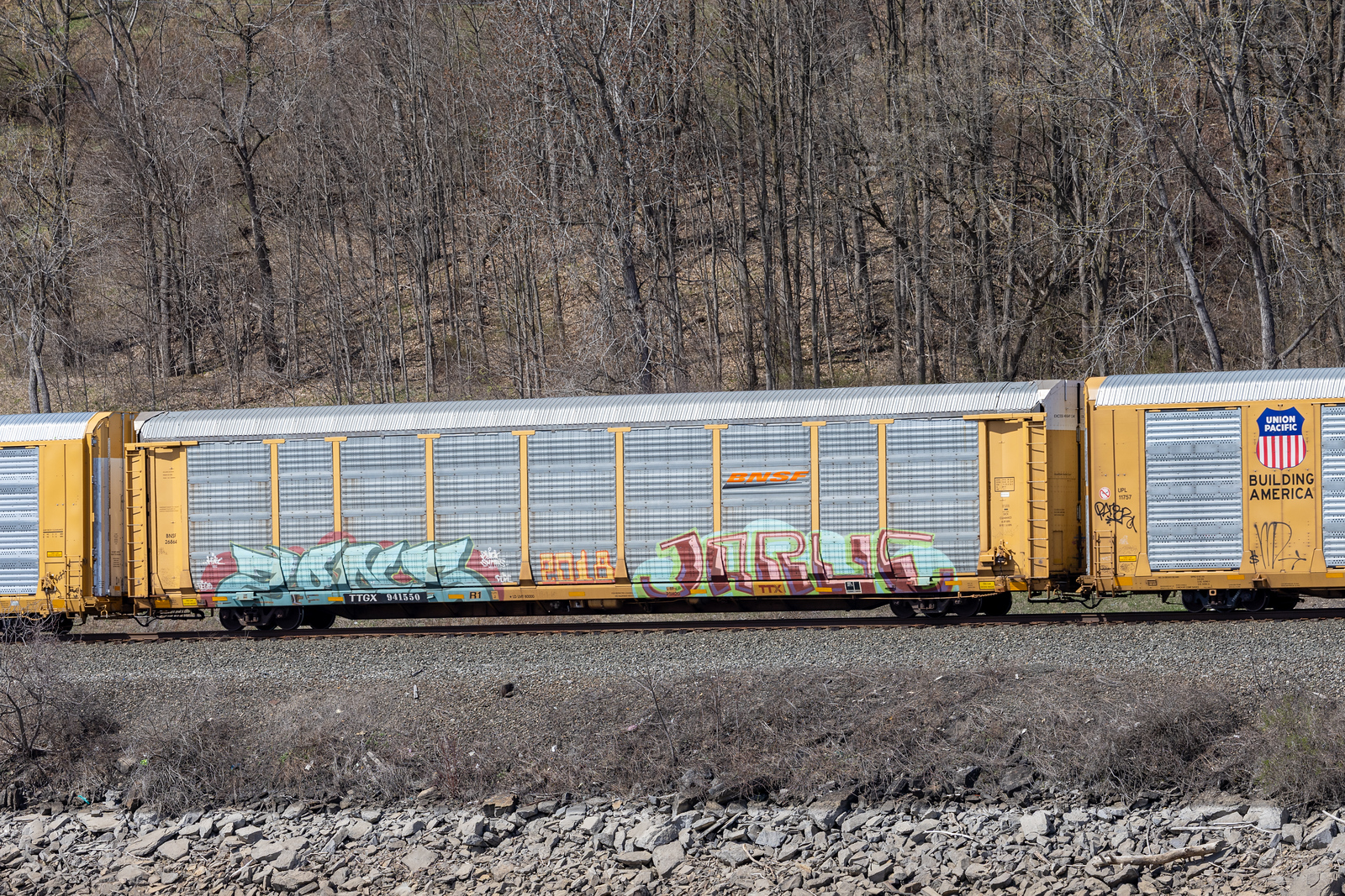 TTGX 941550