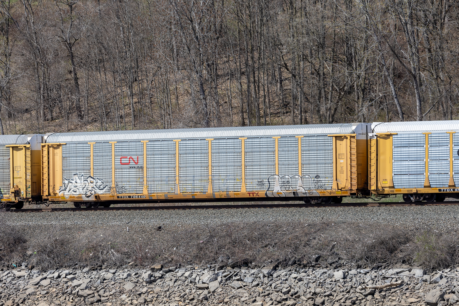 TTGX 706440