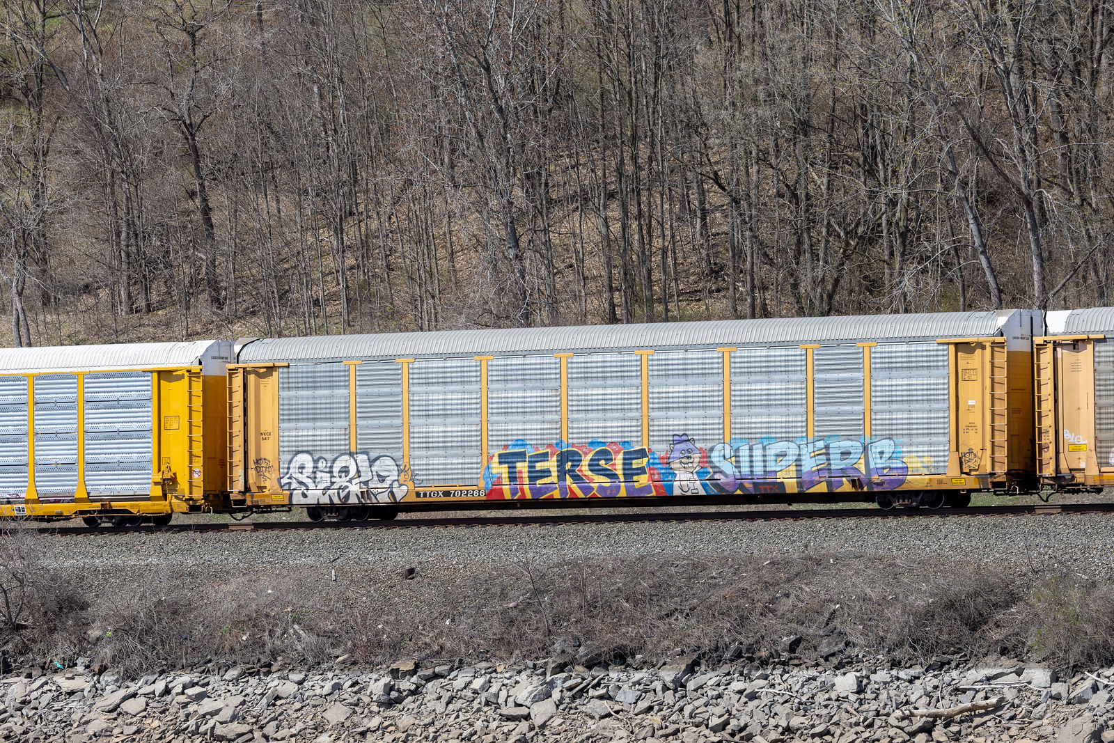 TTGX 702266