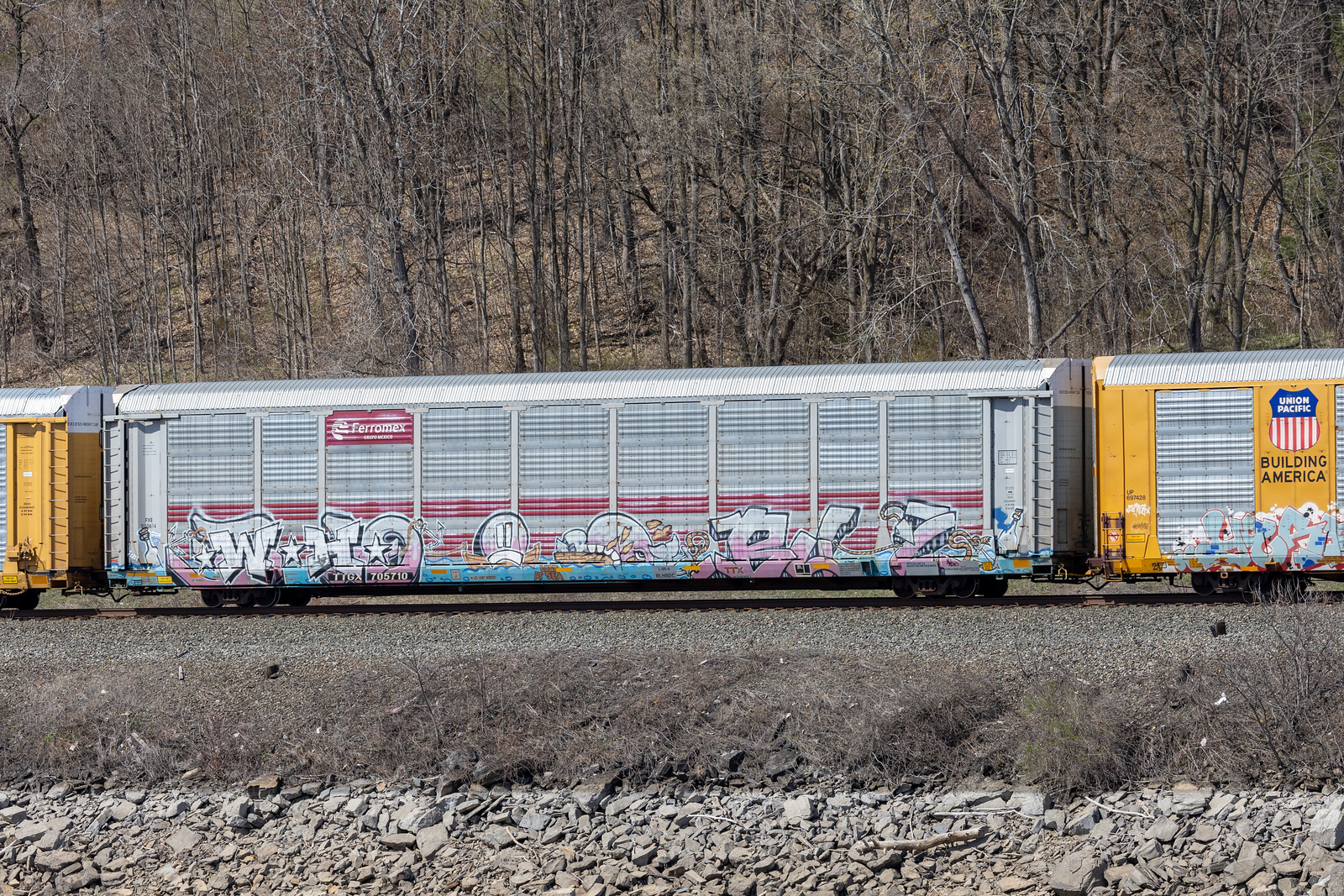 TTGX 705710