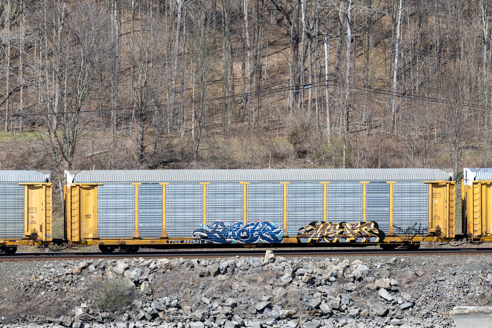 TTGX 982521