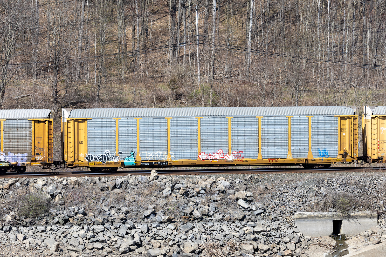 TTGX 702293