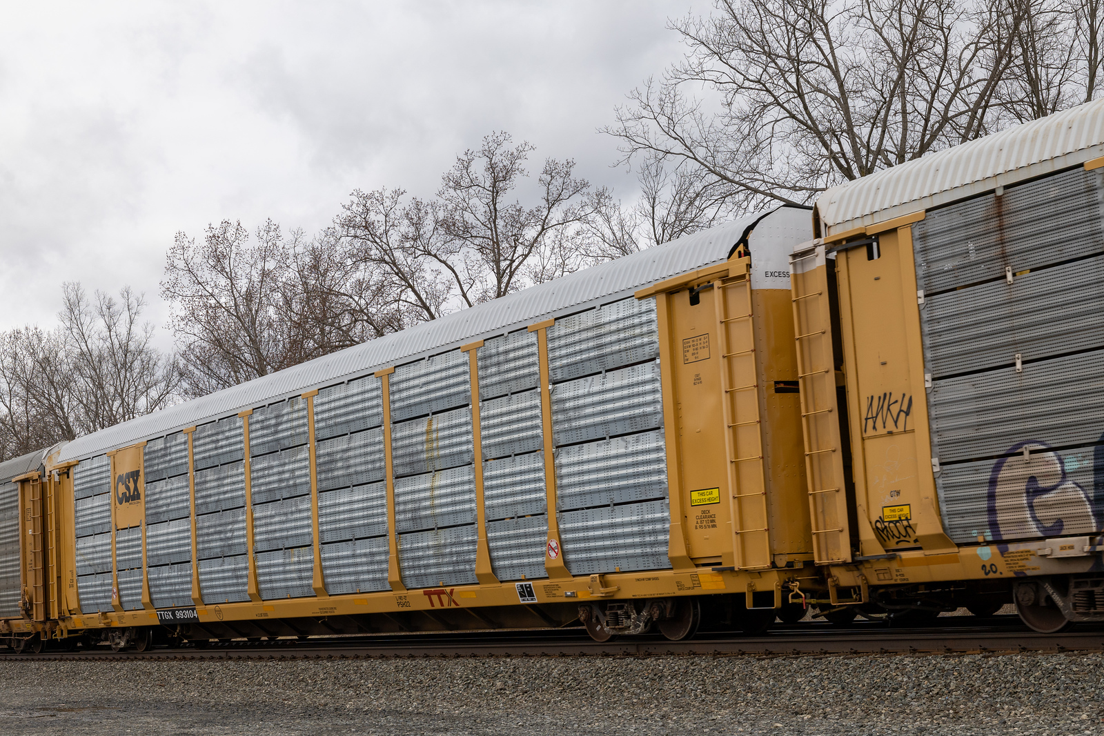 TTGX 993104