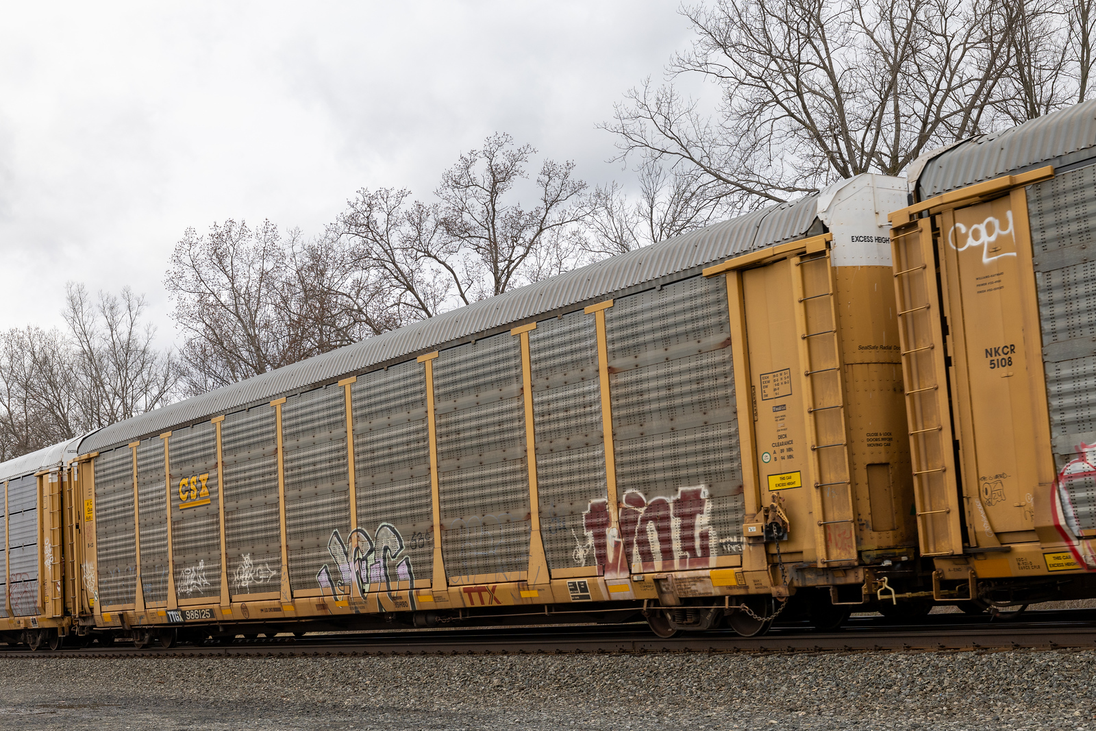 TTGX 986125