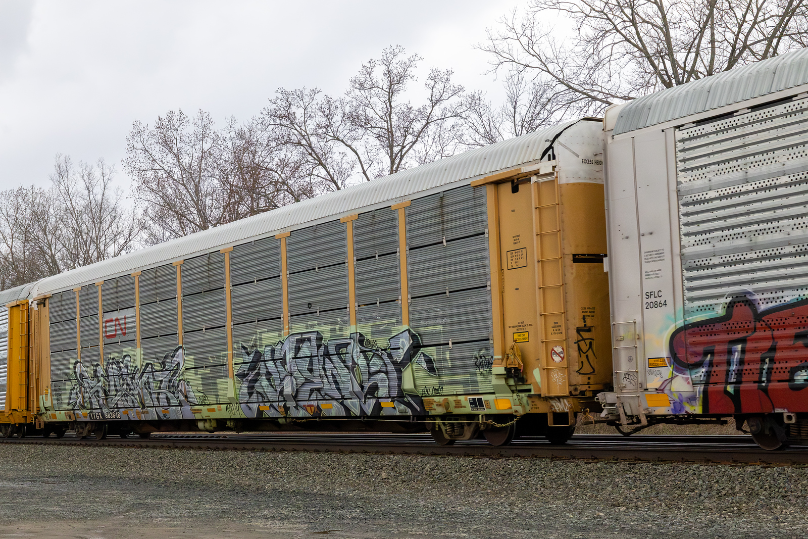 TTGX 983646