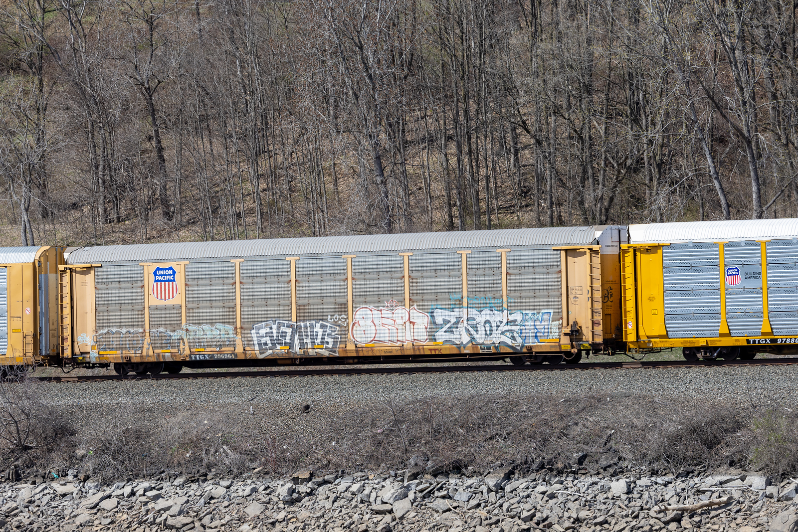 TTGX 996964