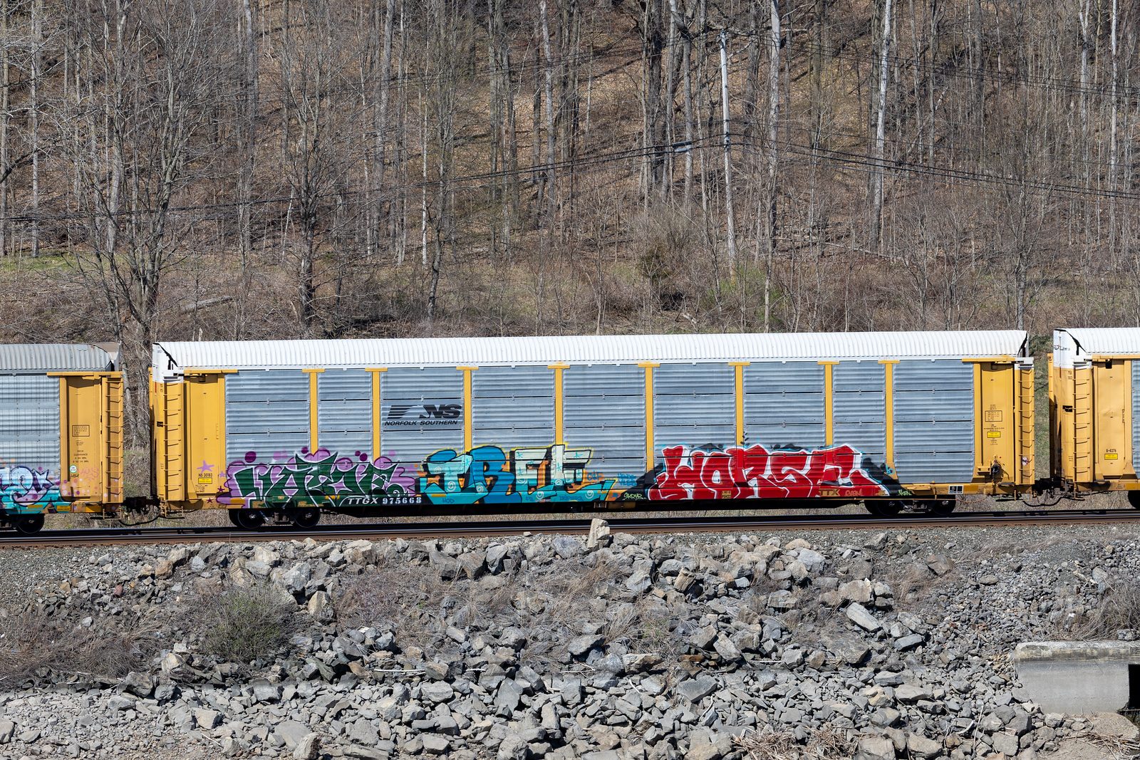 TTGX 975668