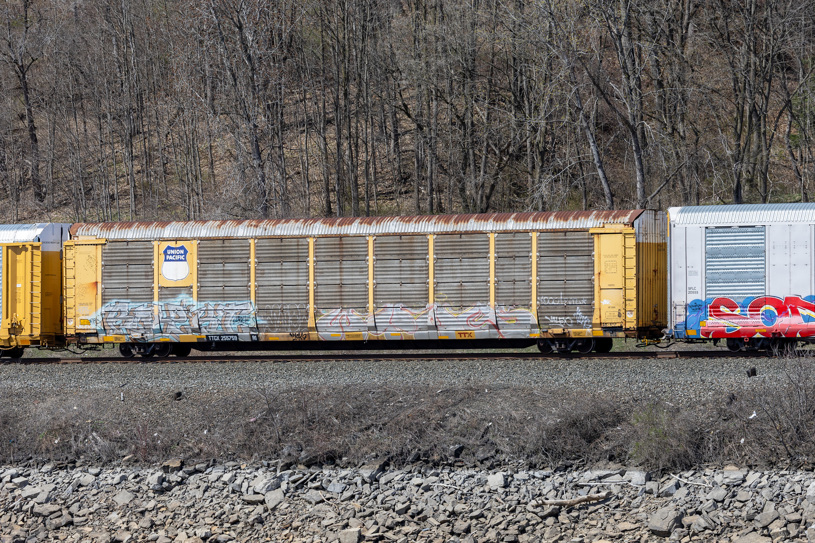 TTGX 255759