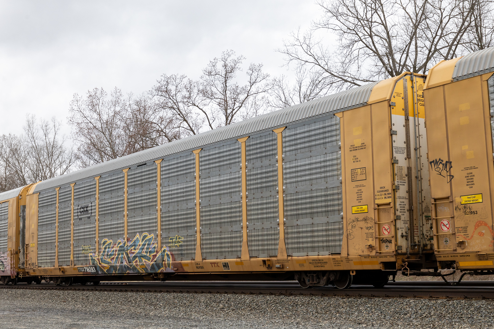 TTGX 716283