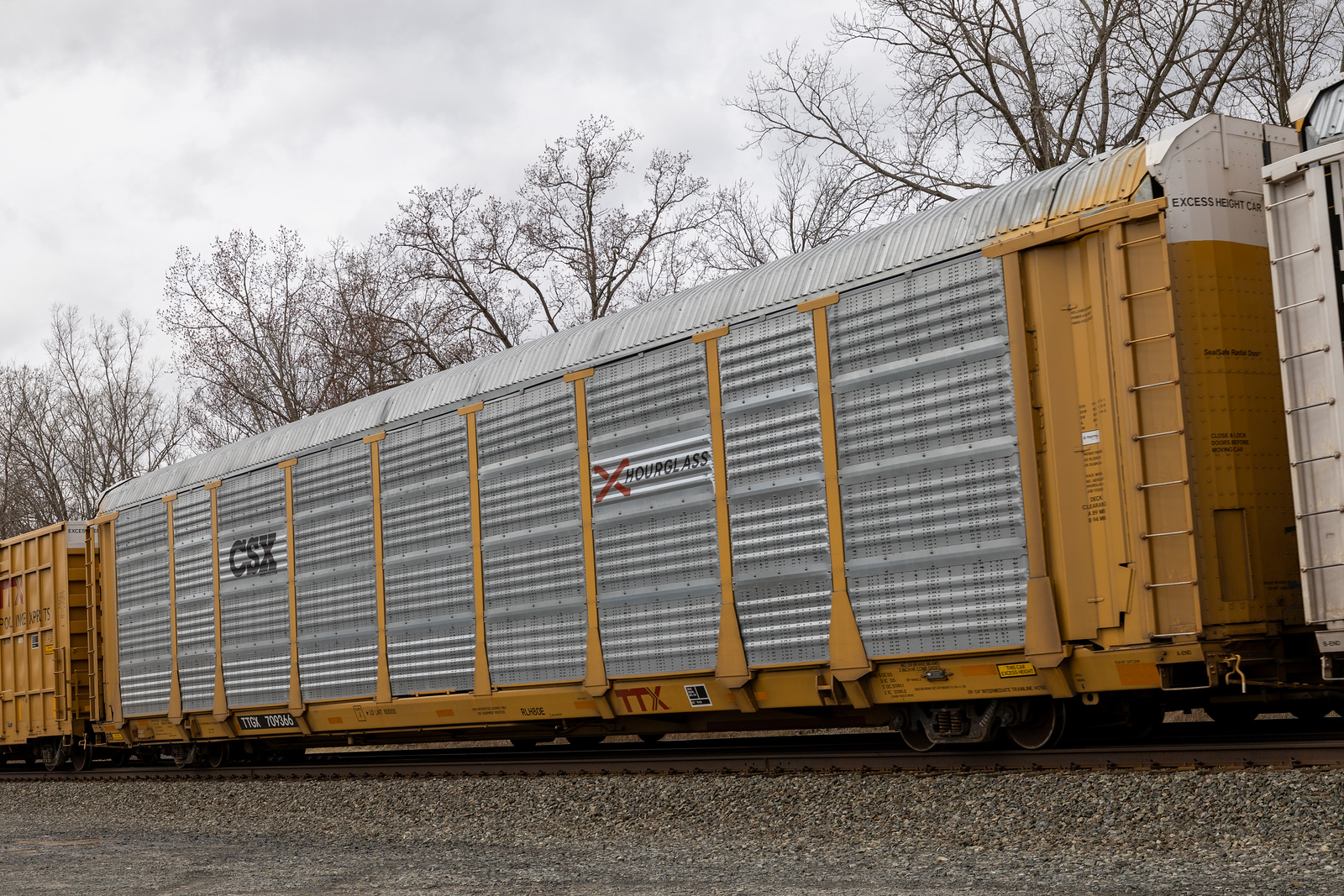TTGX 709366