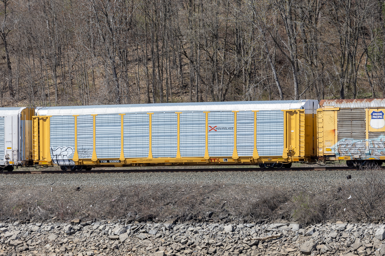 TTGX 835800