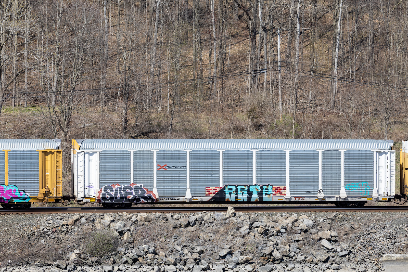 TTGX 707723