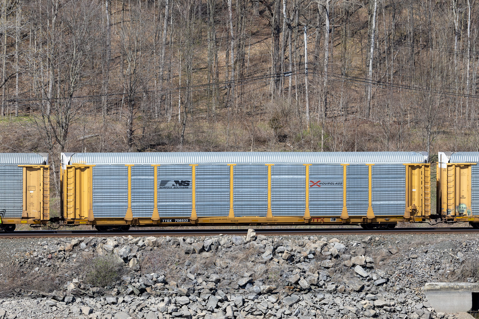 TTGX 708533