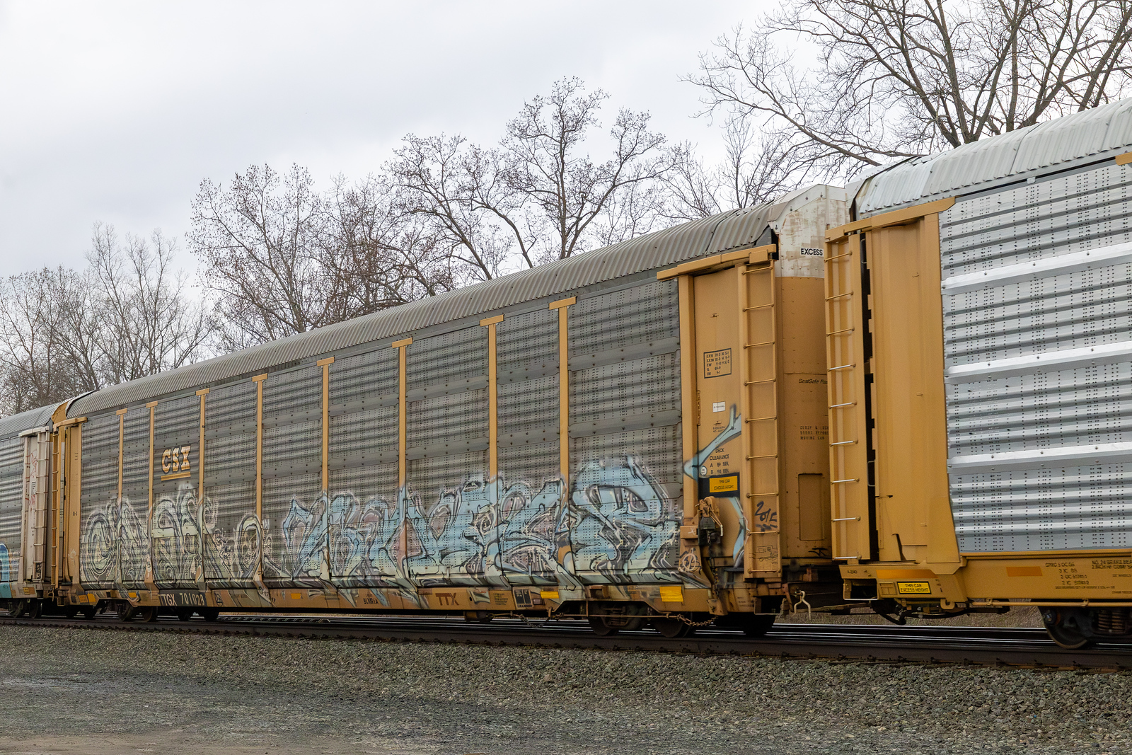 TTGX 701028