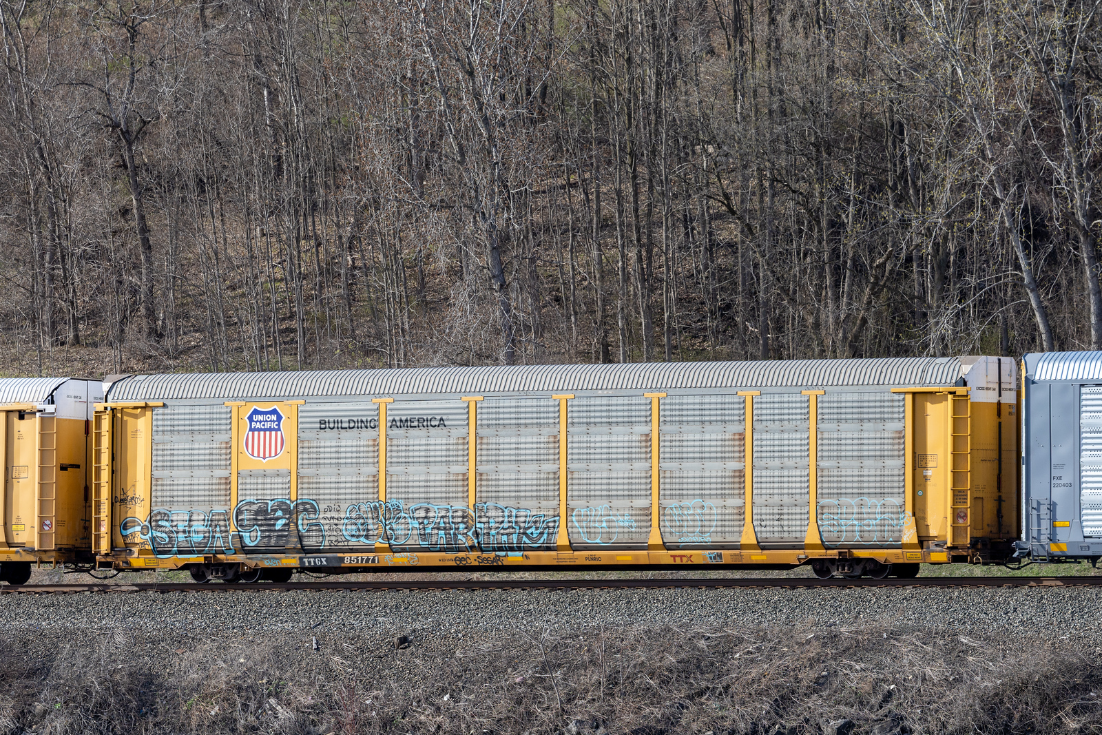 TTGX 851771