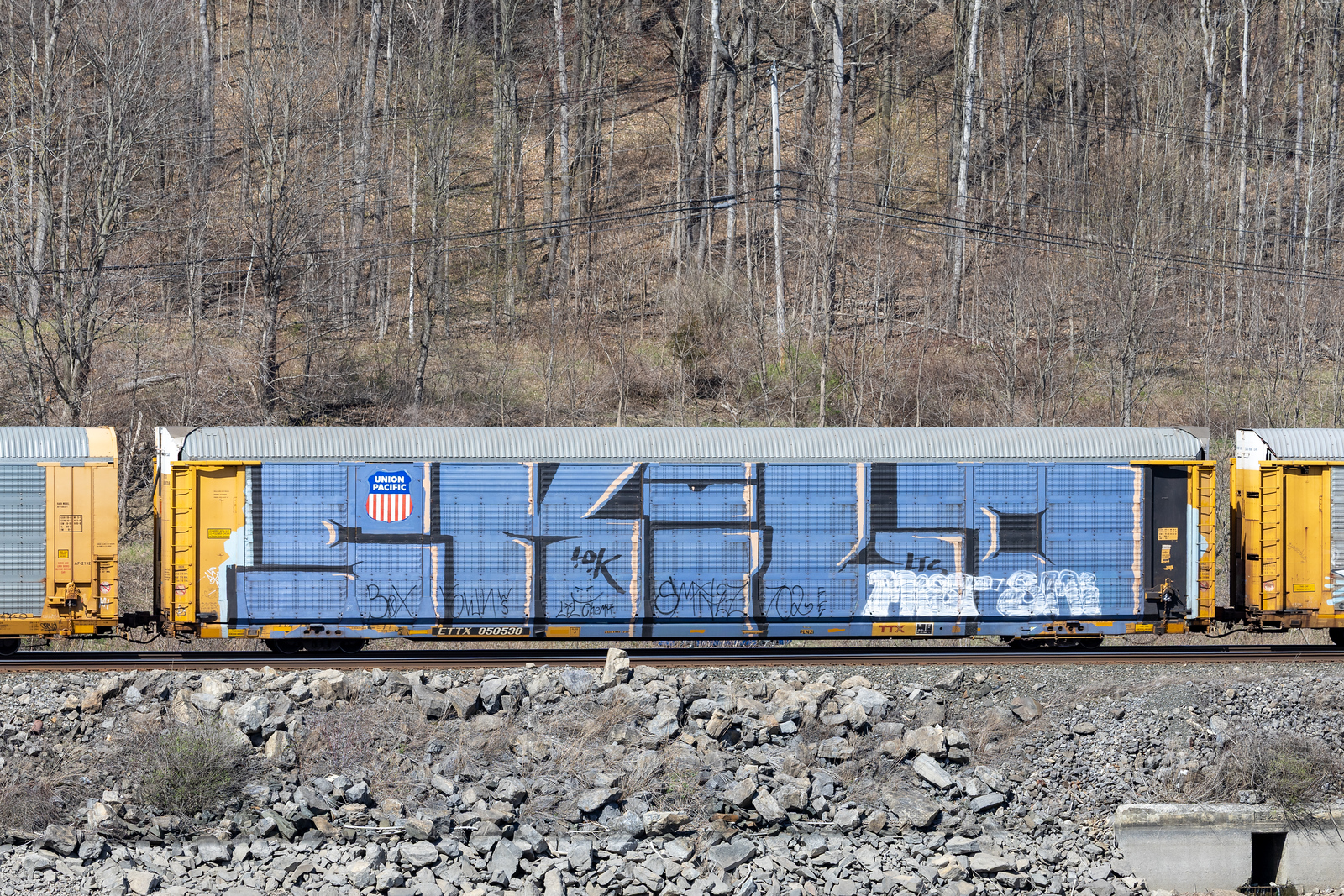 ETTX 850538