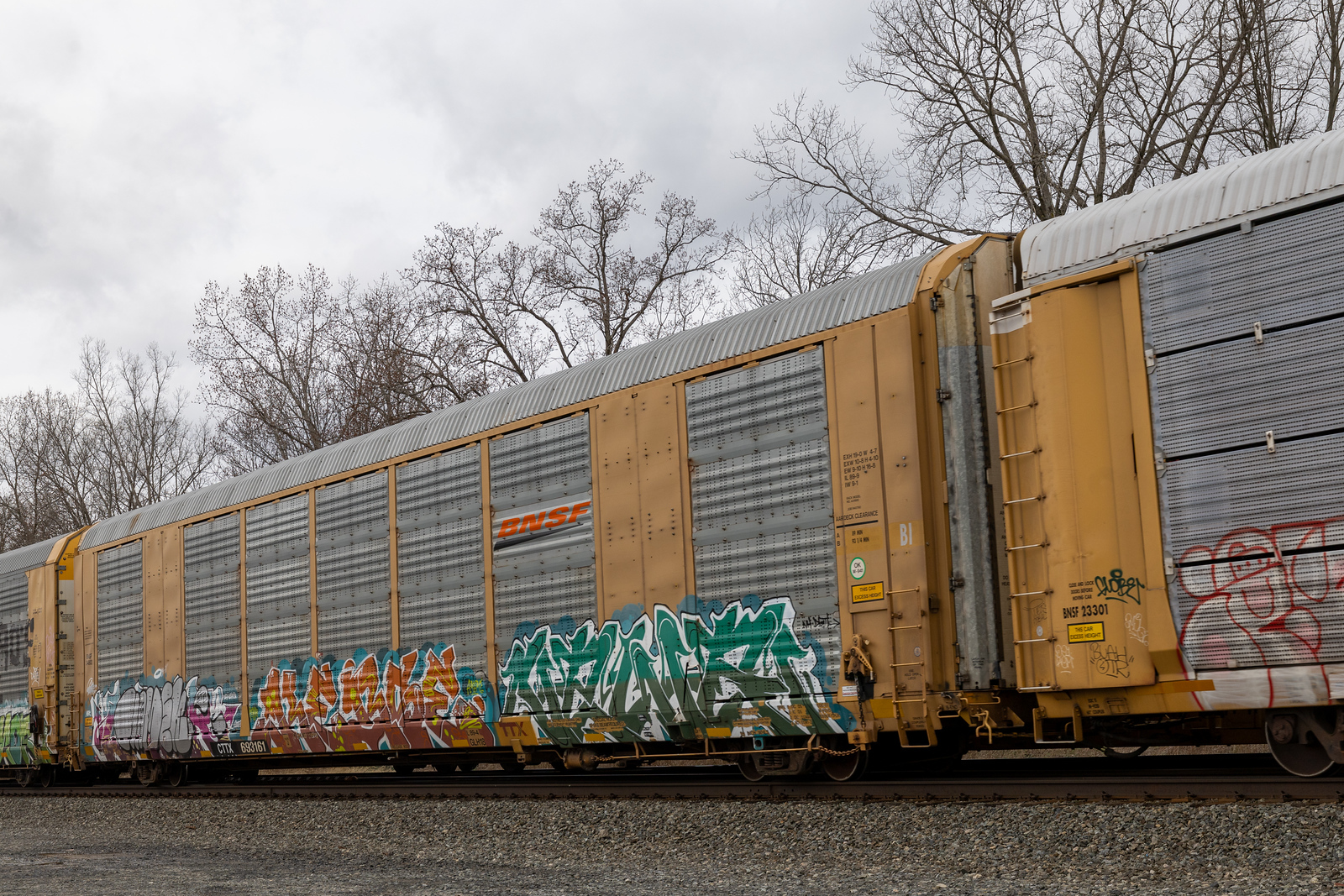 CTTX 693161