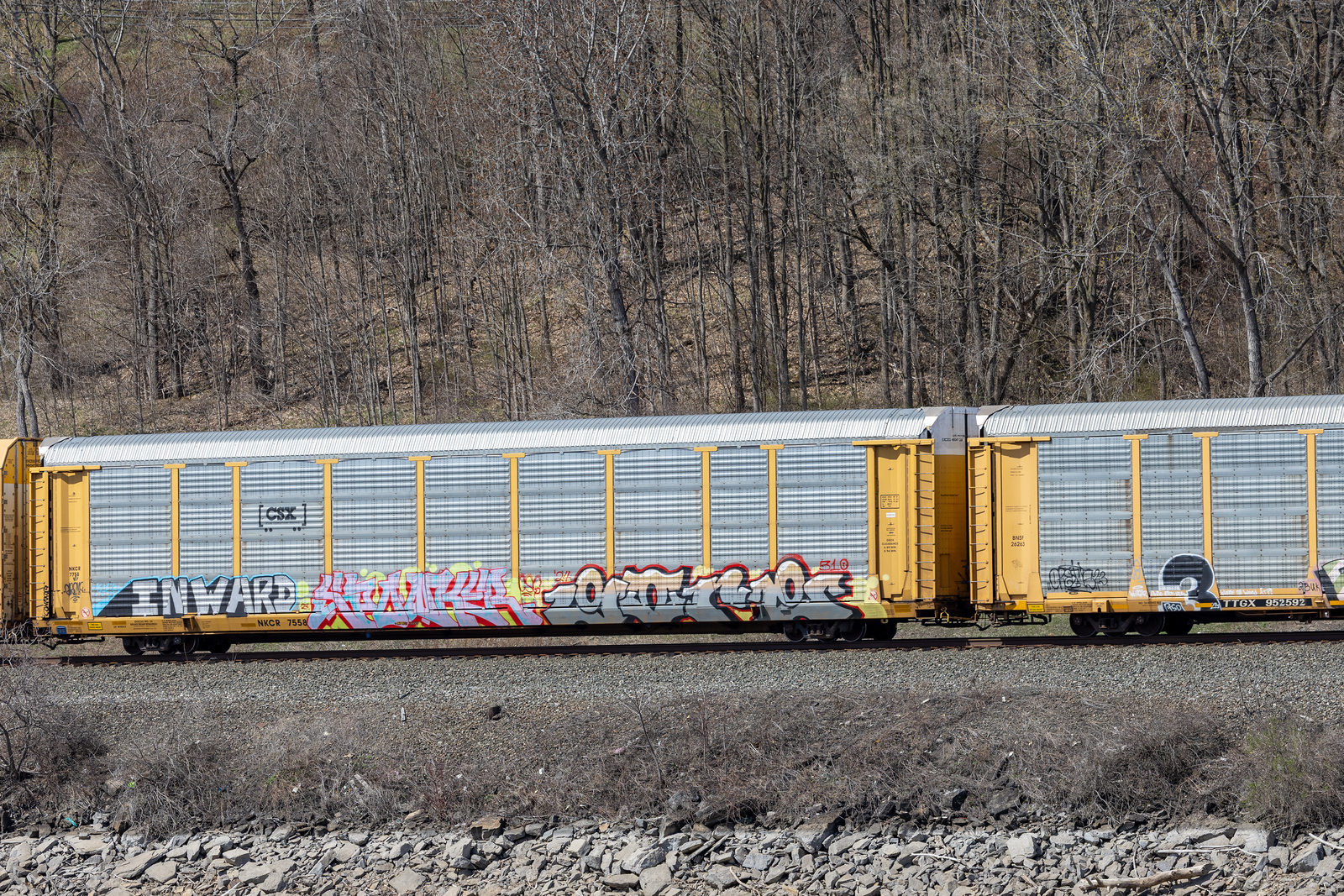 NKCR 7558