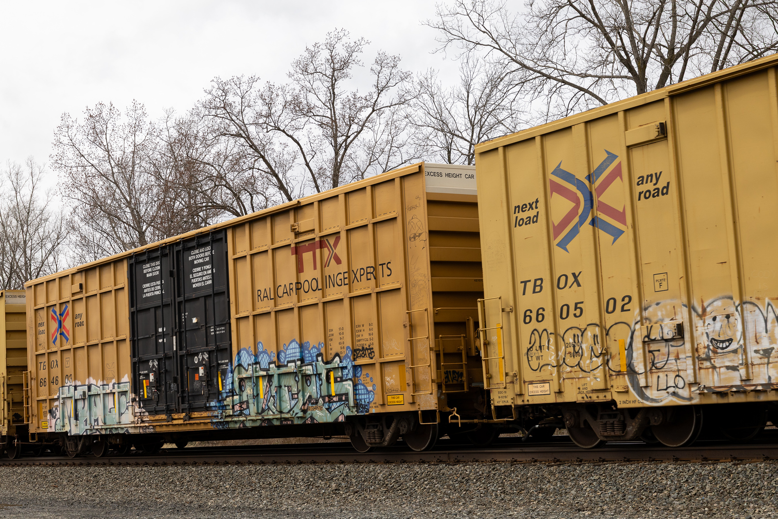TBOX 664603