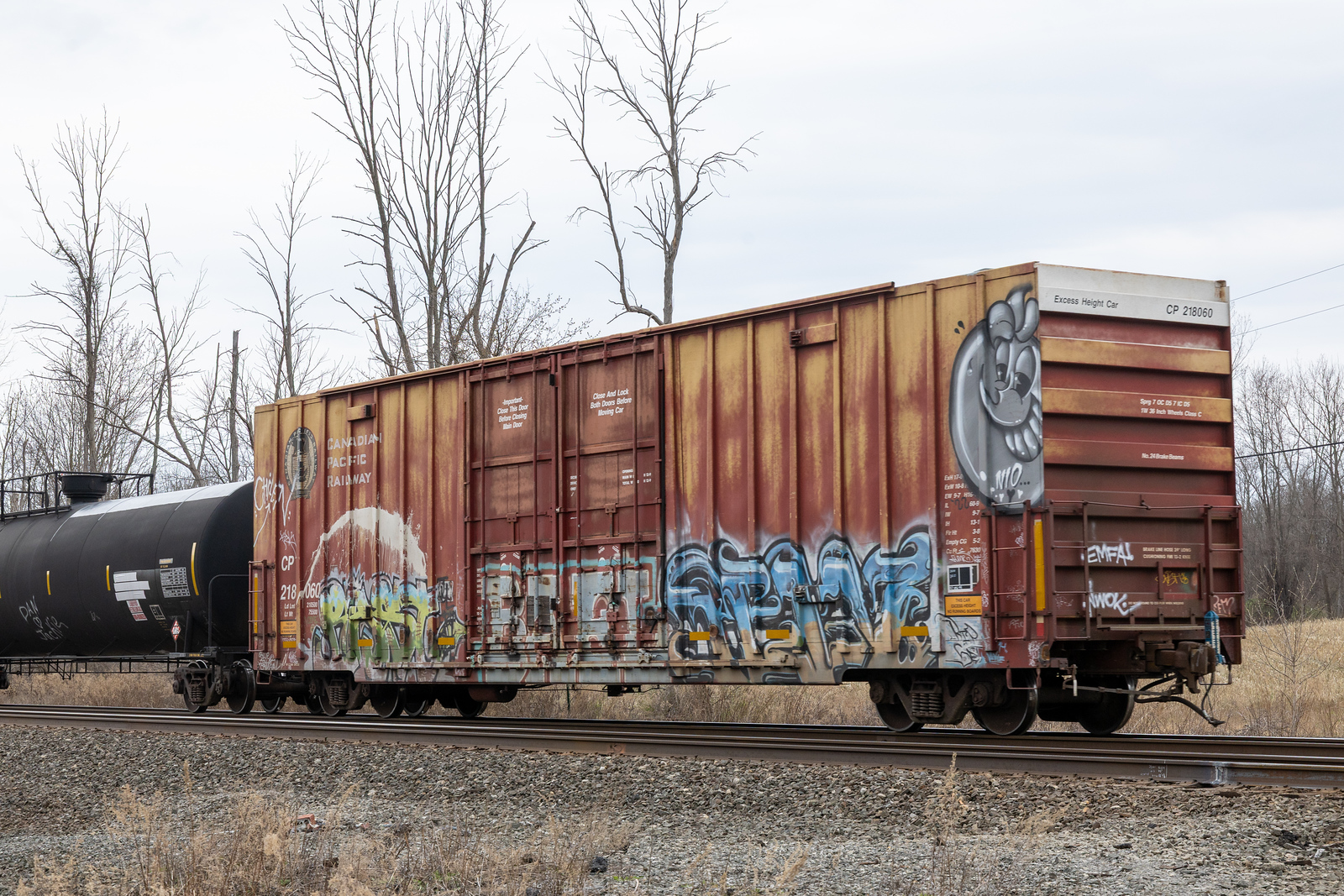CP 218060