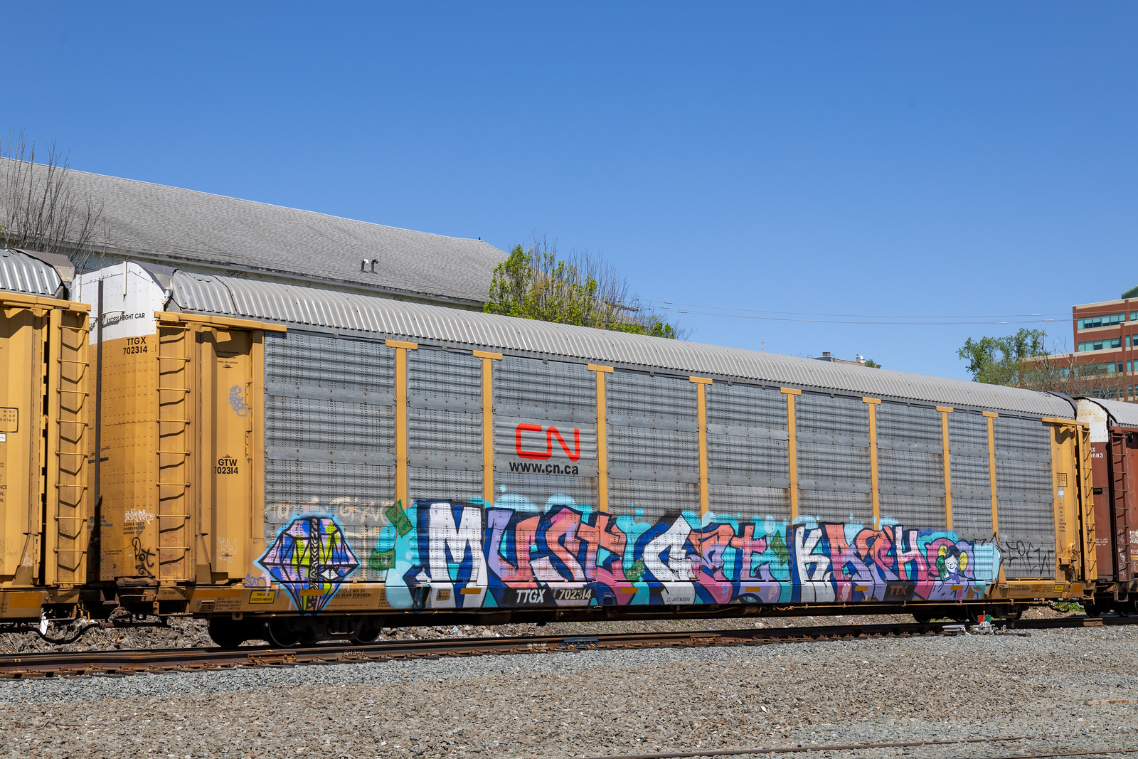 TTGX 702314