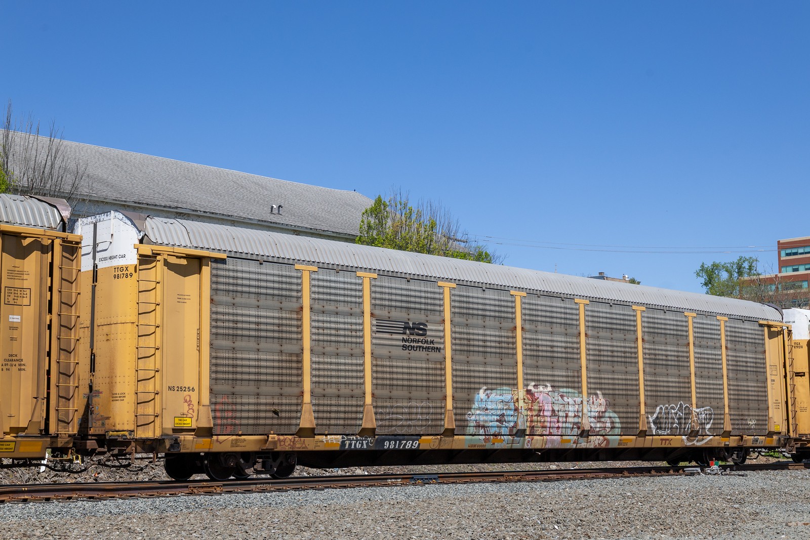 TTGX 981789