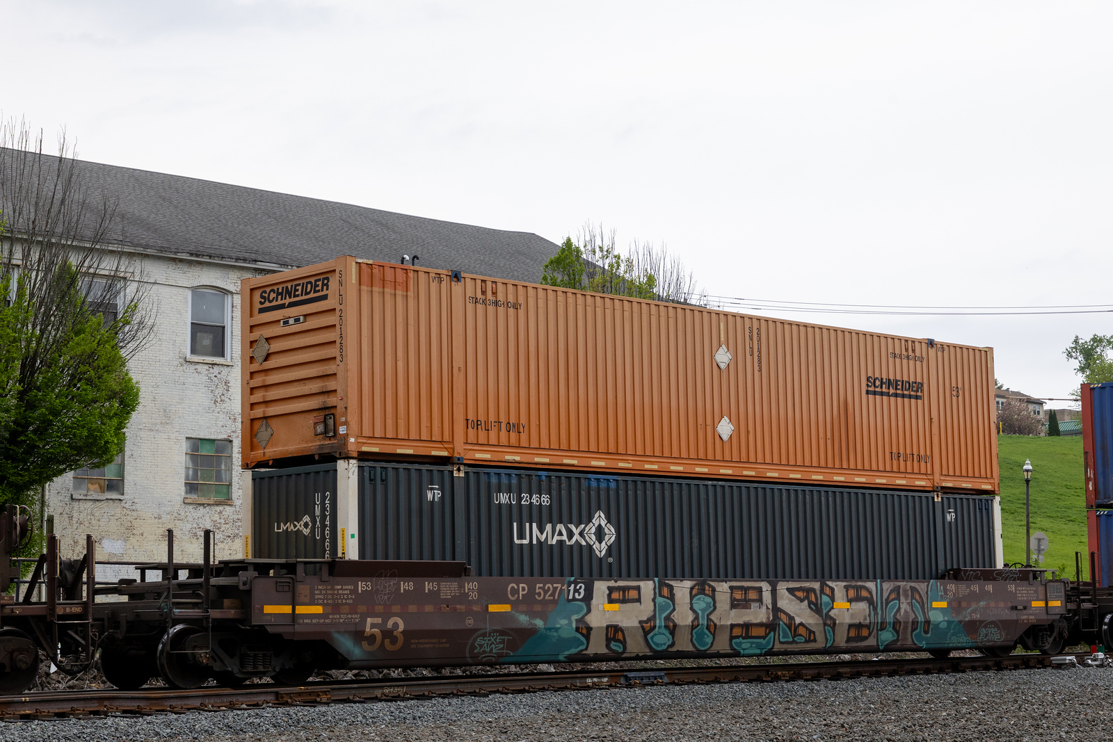 CP 527113