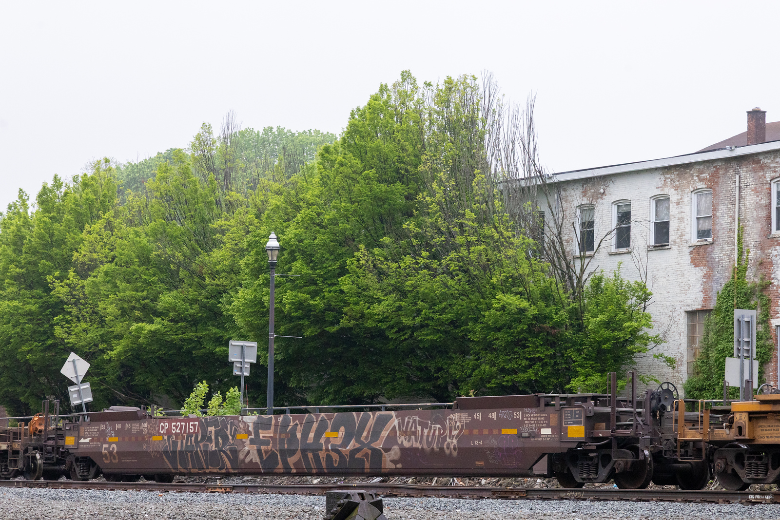 CP 527157