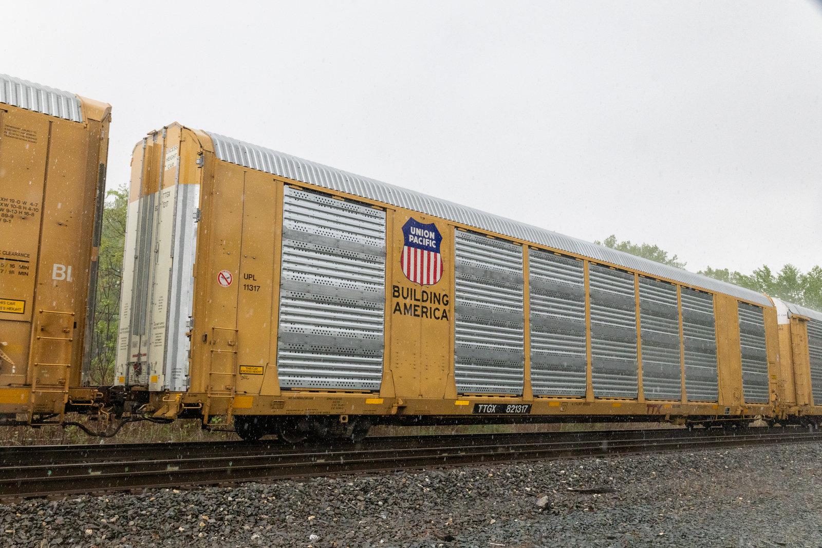 TTGX 821317