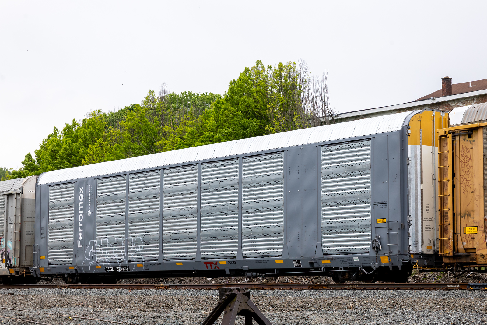 TTGX 824990