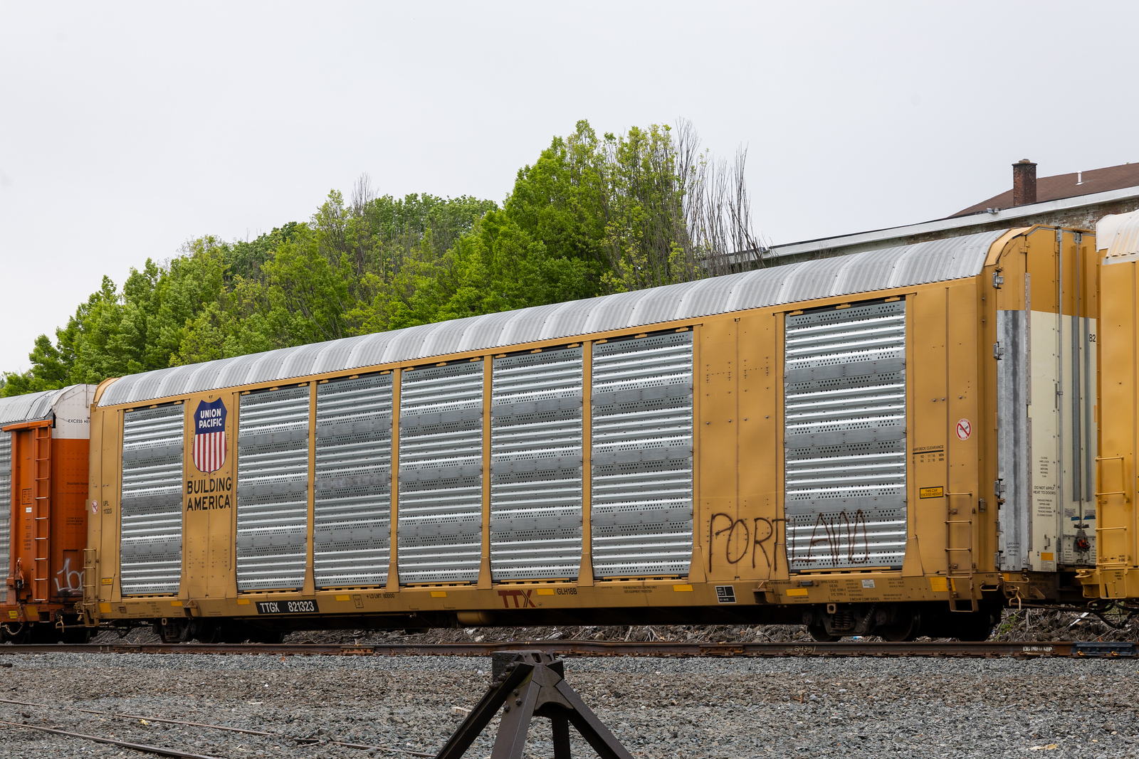 TTGX 821323