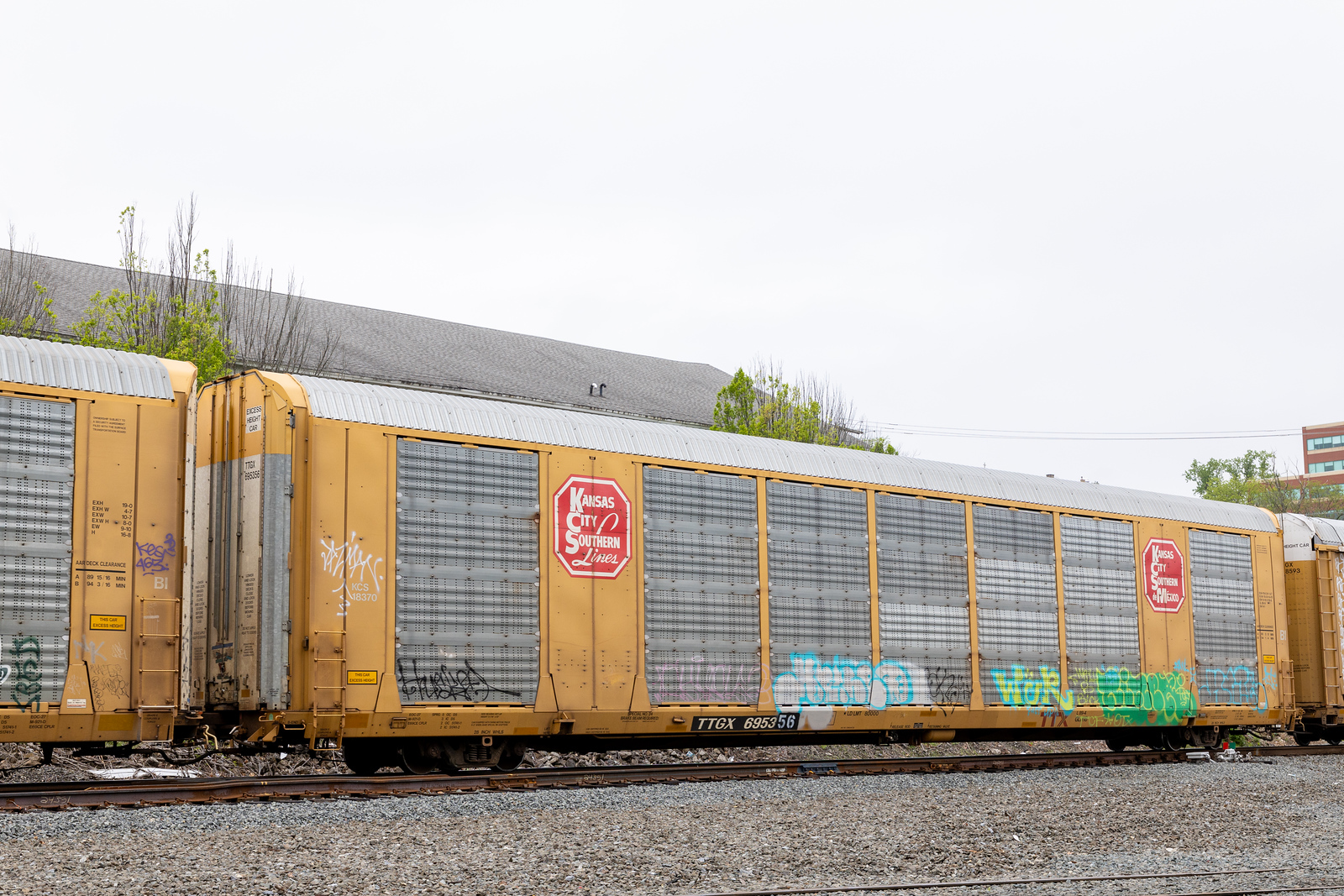 TTGX 695356