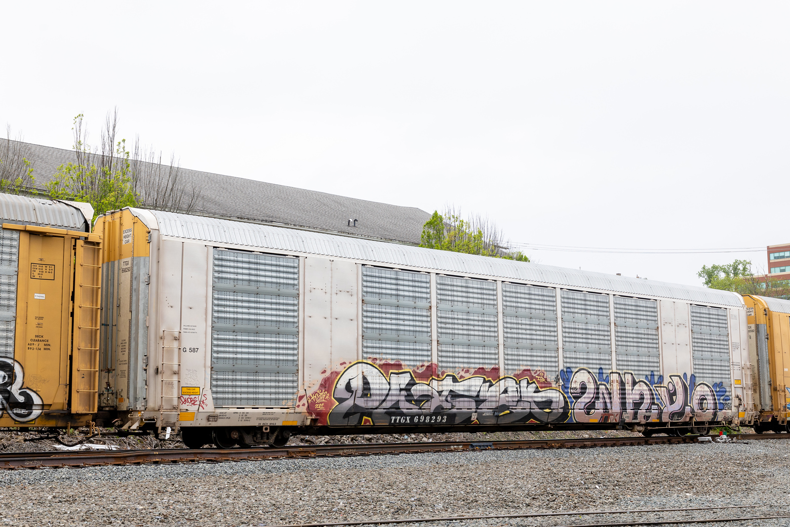 TTGX 698293