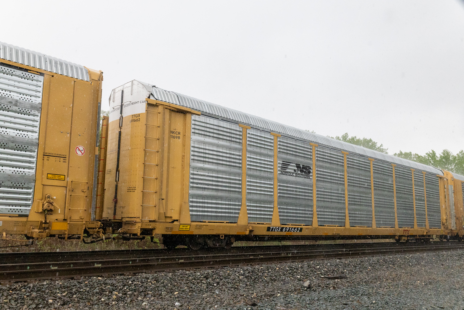 TTGX 691662