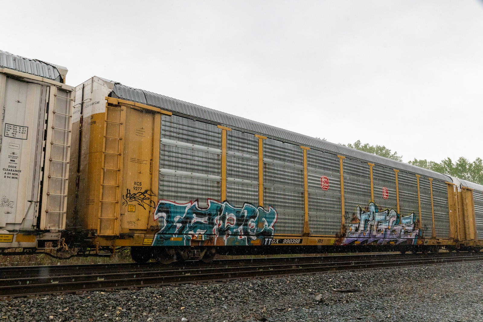 TTGX 990398