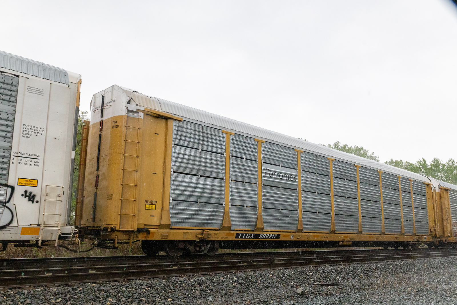TTGX 992217