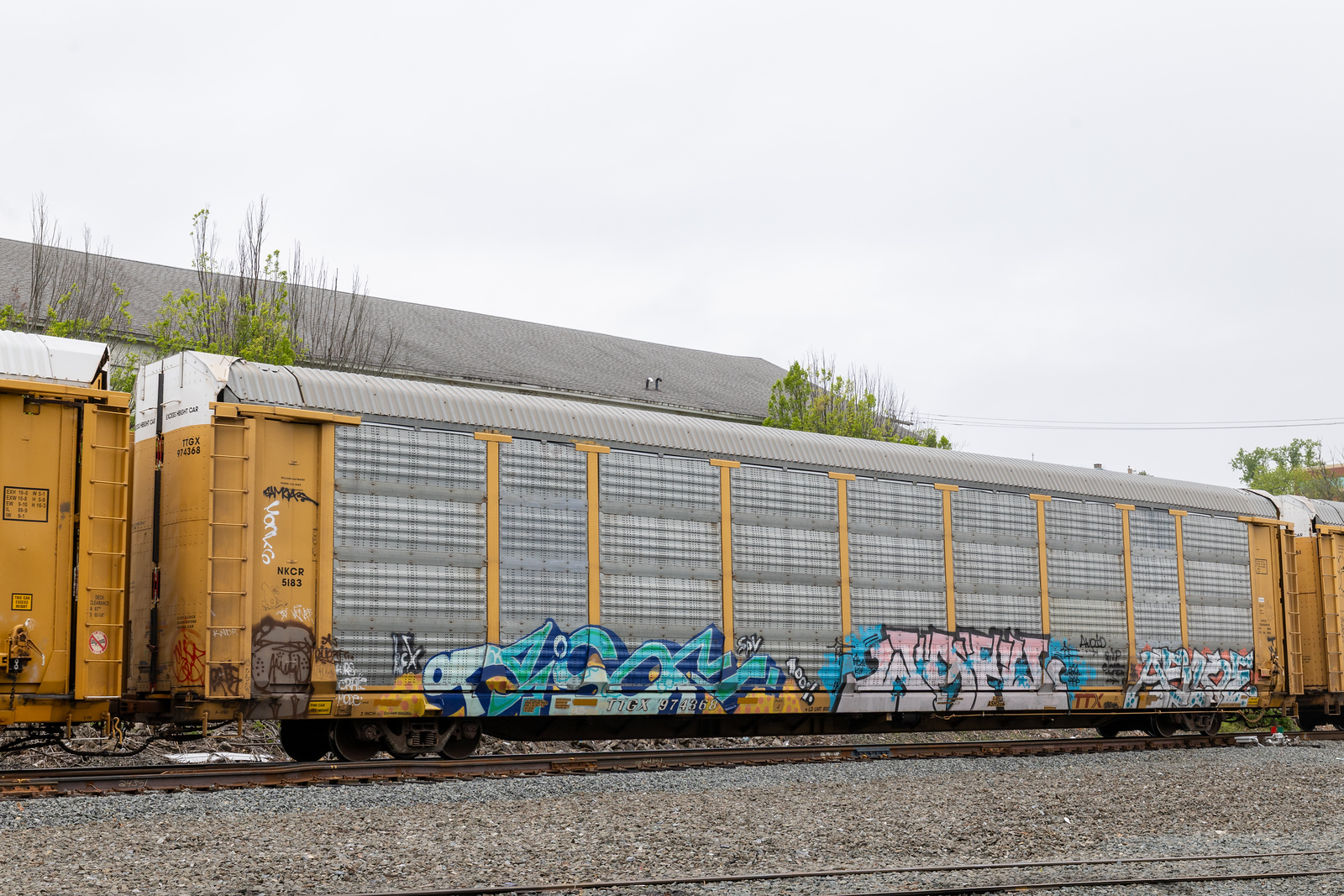 TTGX 974368