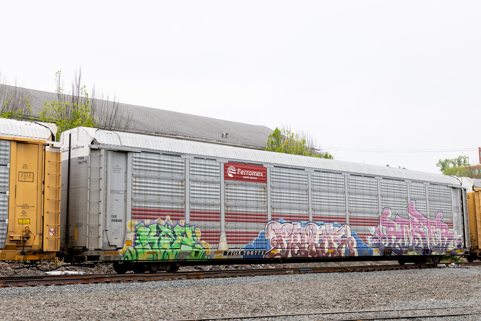 TTGX 706771