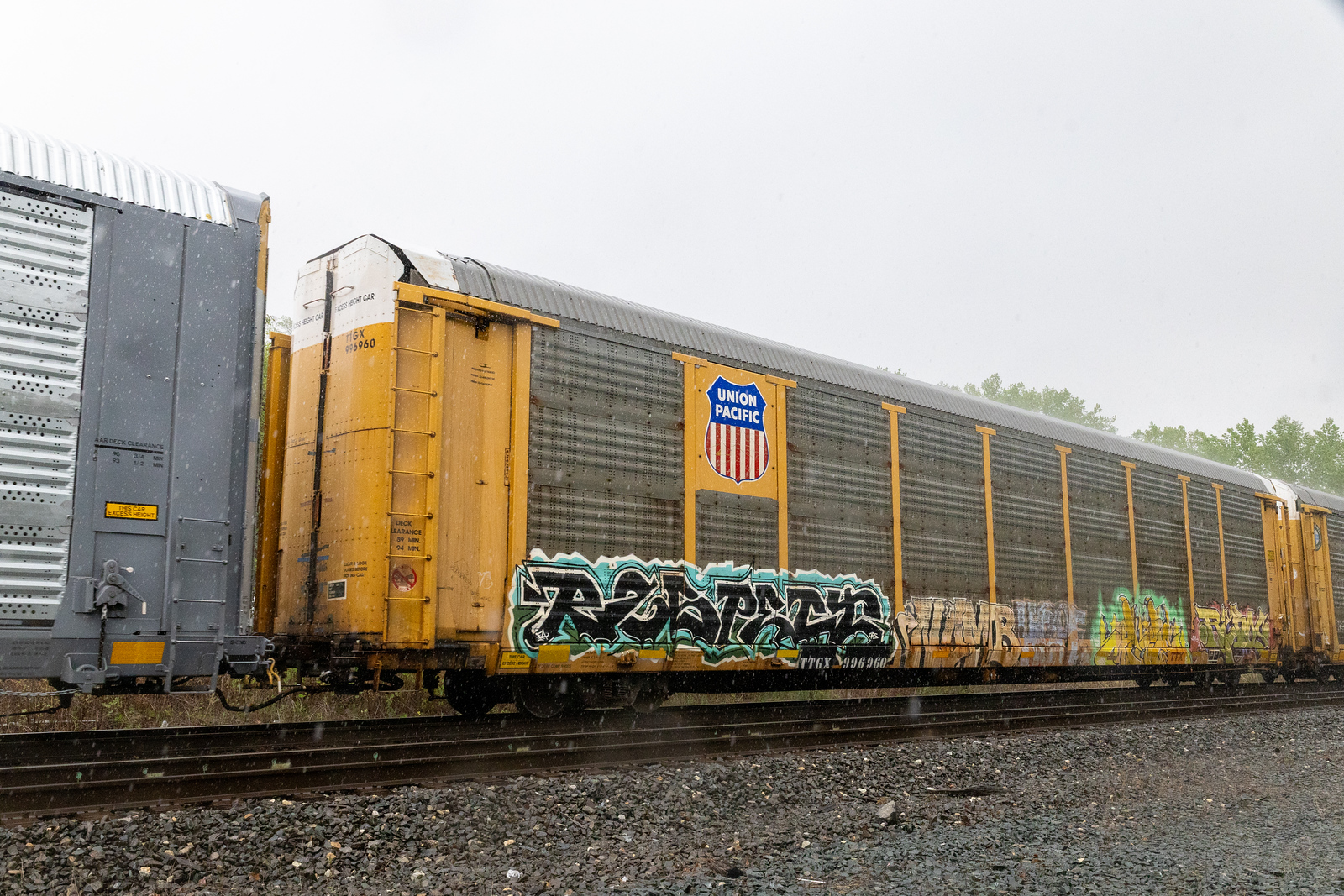 TTGX 996960