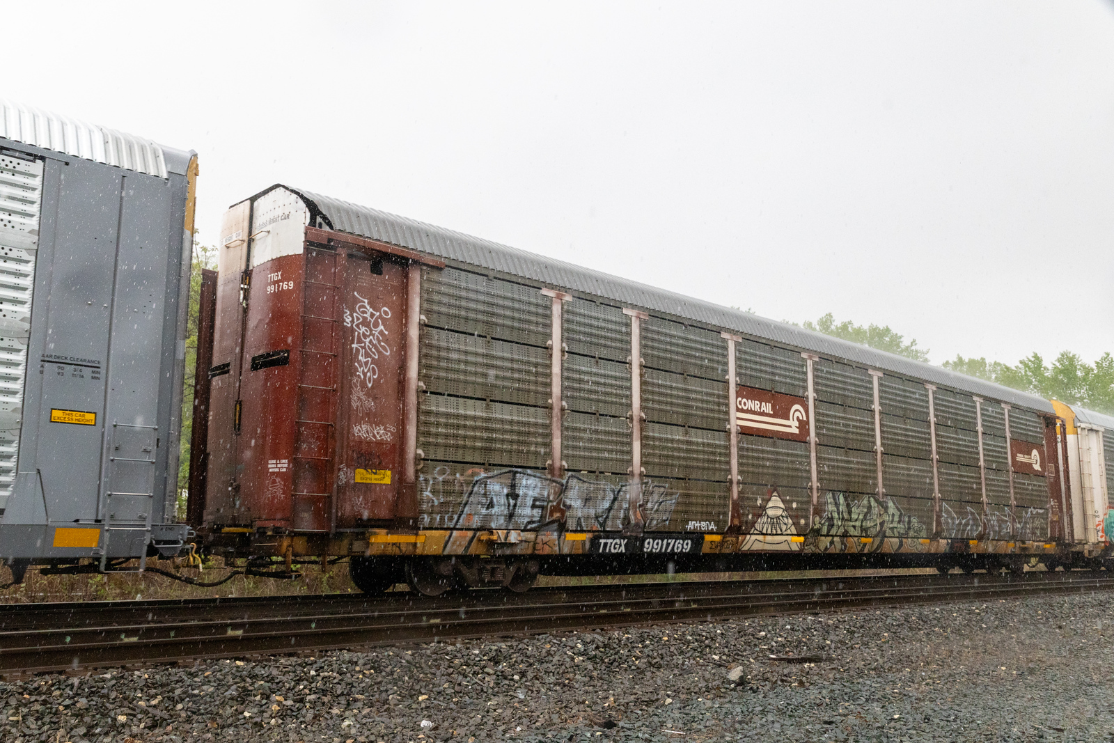 TTGX 991769