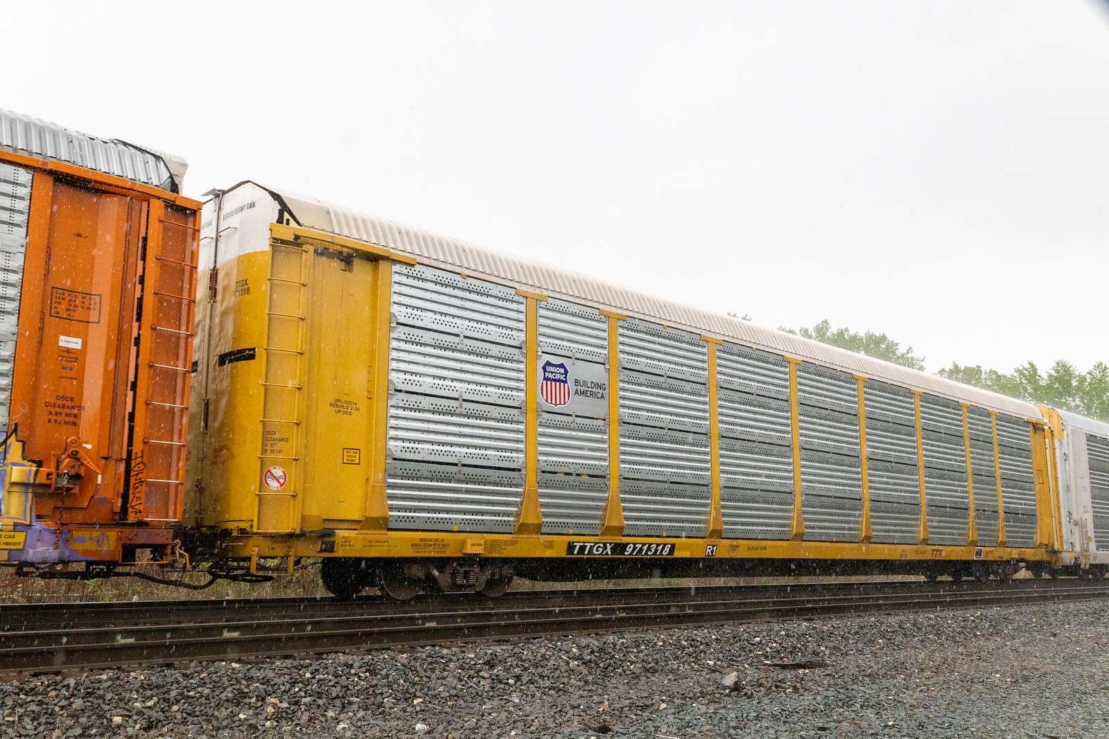 TTGX 971318