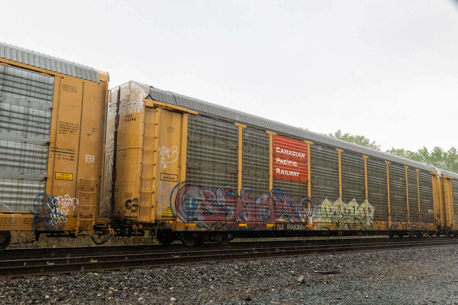 TTGX 996396