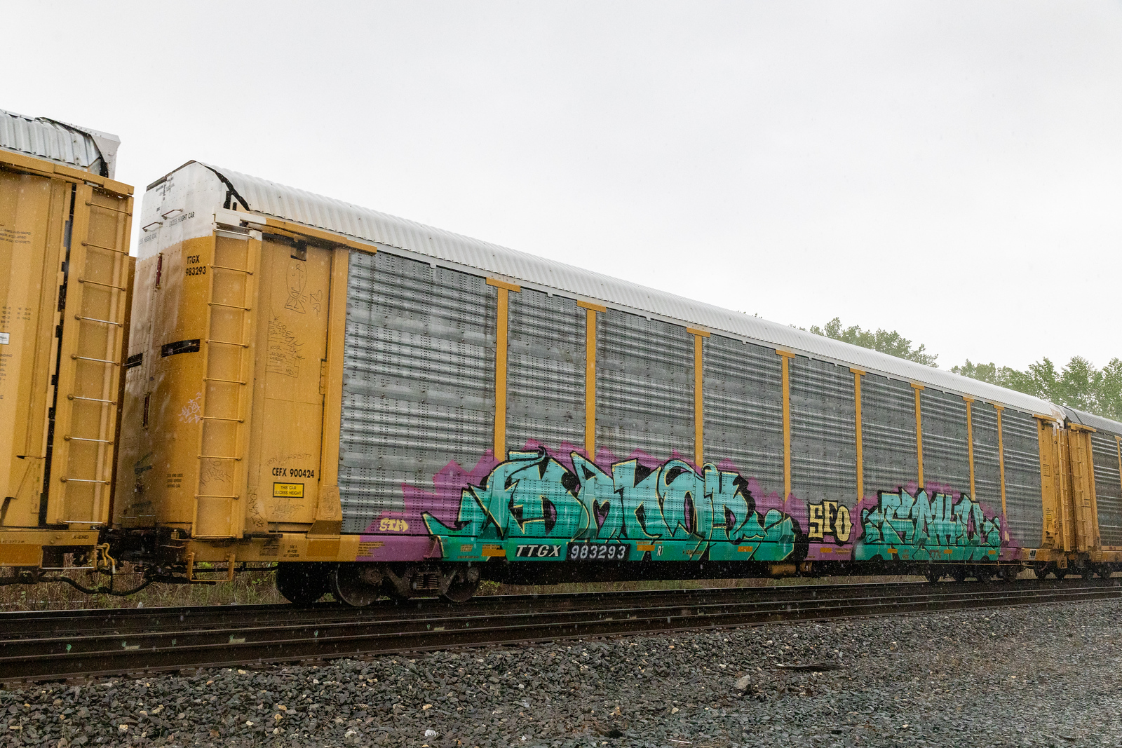 TTGX 983293