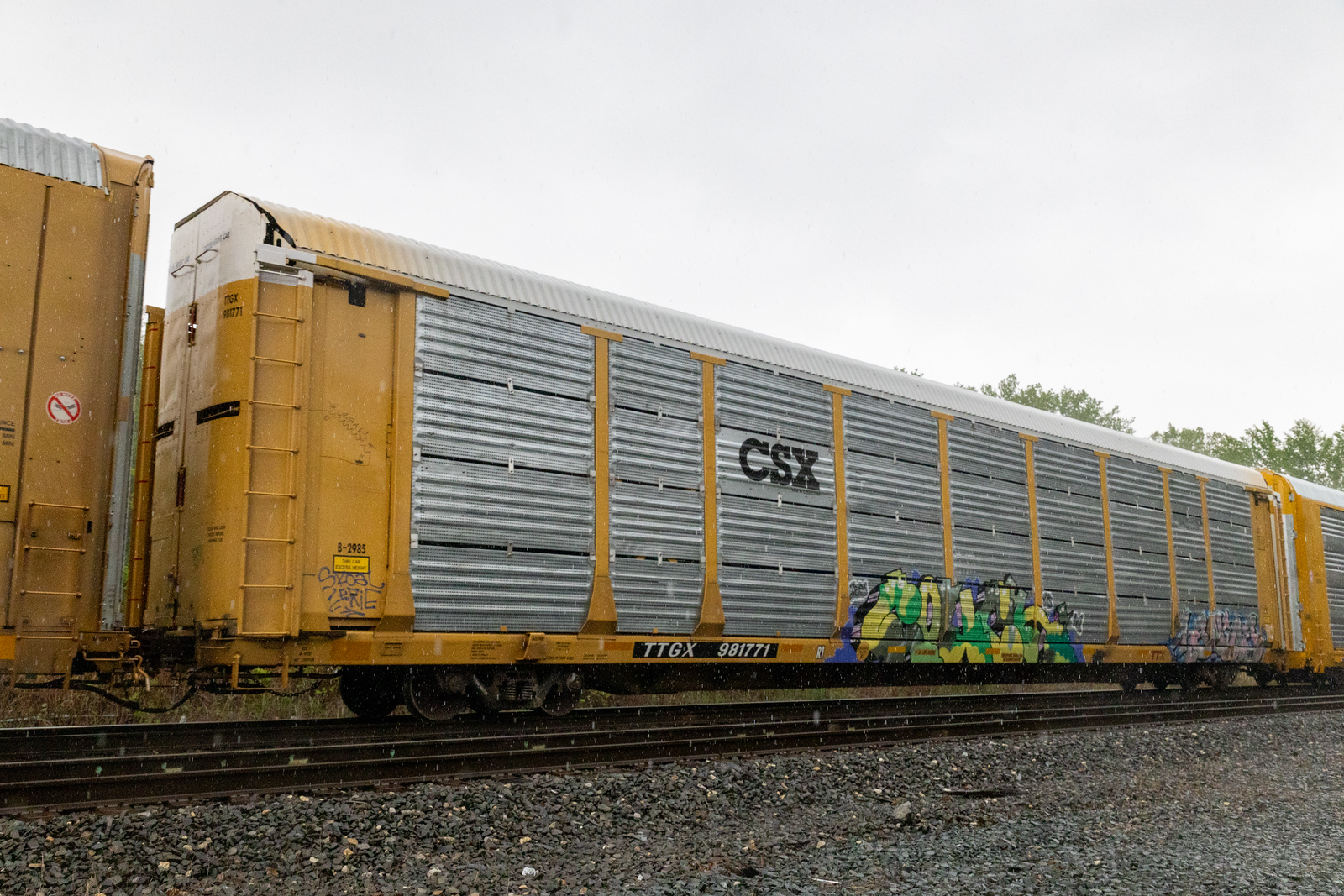 TTGX 981771