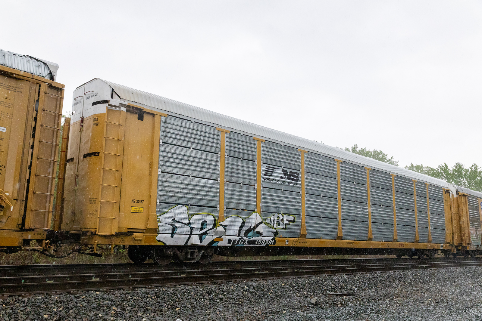 TTGX 159391