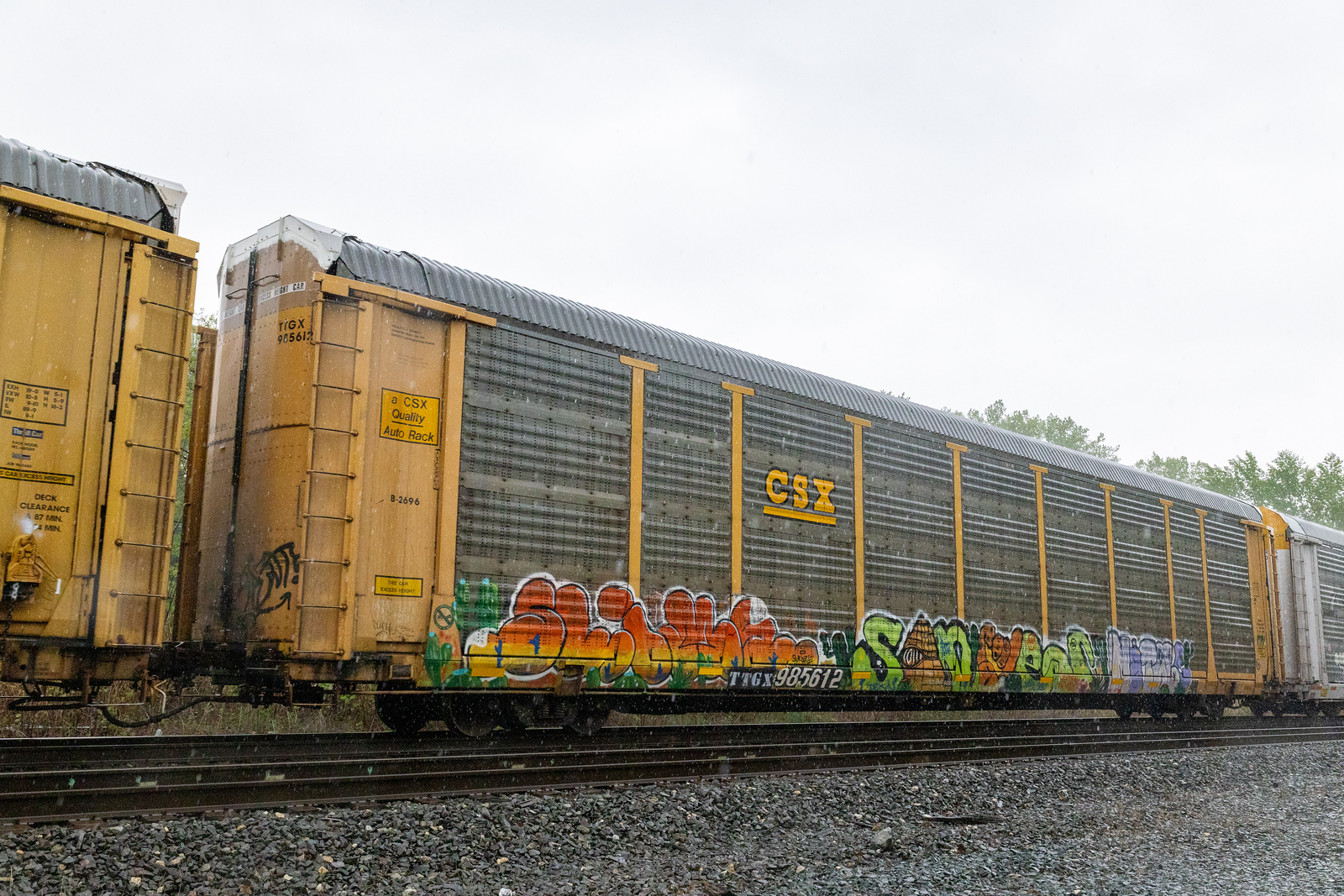 TTGX 985612