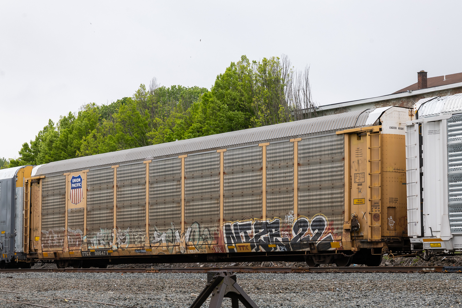 TTGX 986471