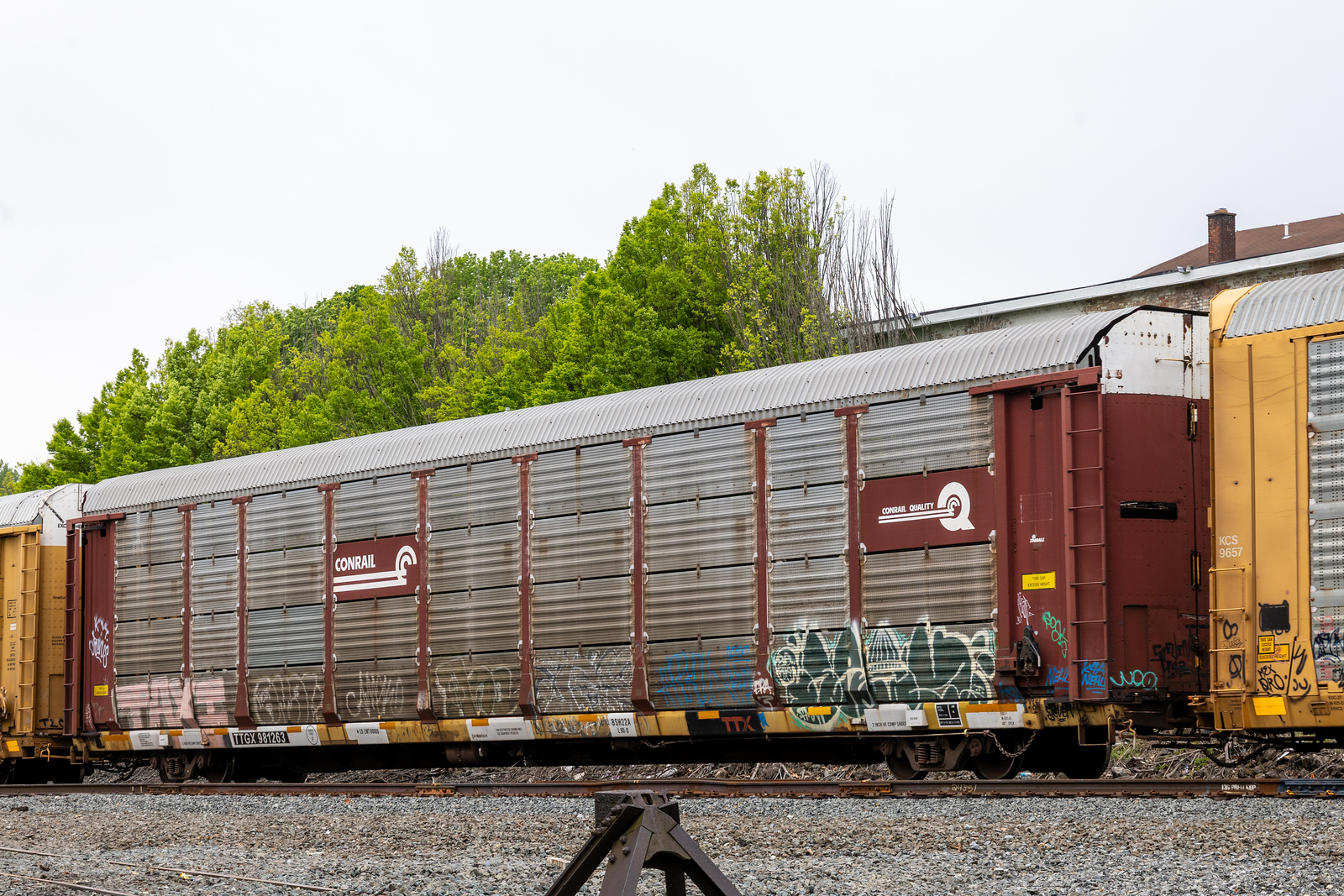 TTGX 981263