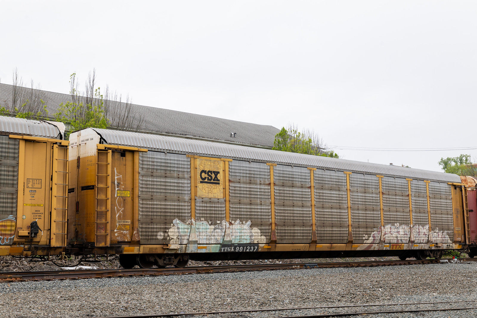 TTGX 991237